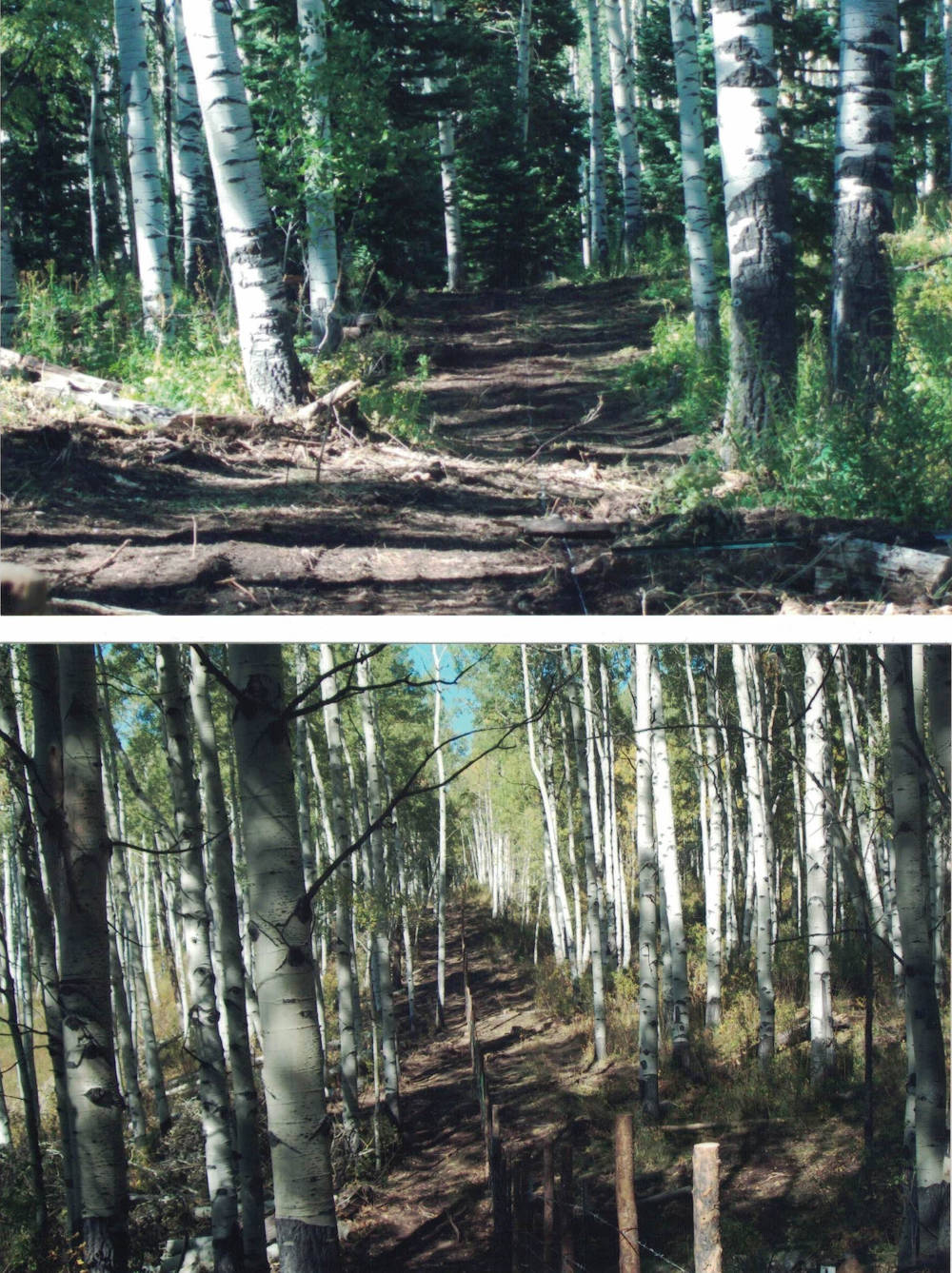 Project transformation 4