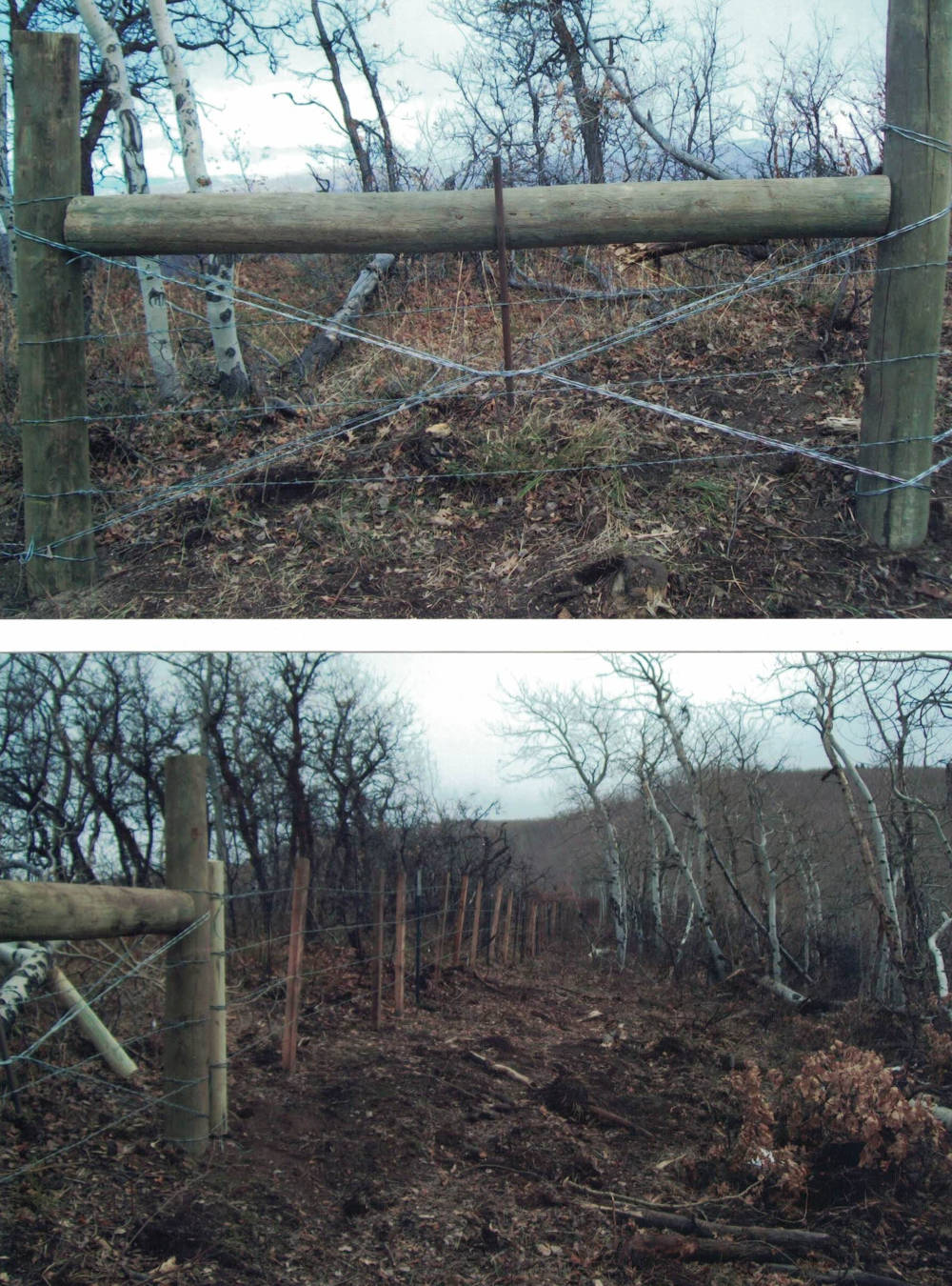 Project transformation 5