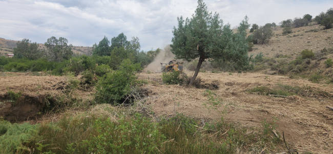 Land Clearing