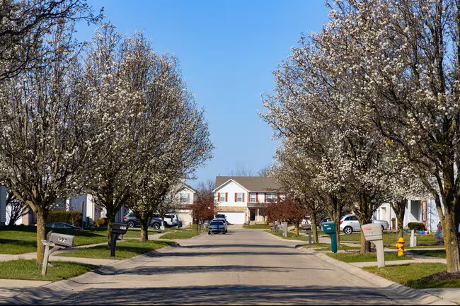 Forest Park