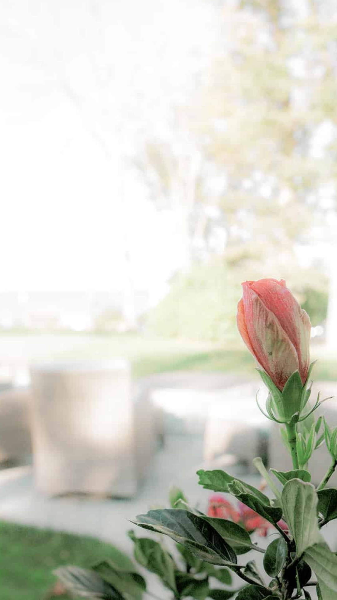 Landscape with flower bud (Mobile/Tablet)