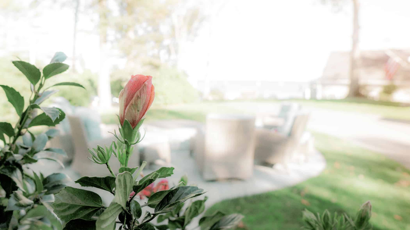 Landscape with flower bud (Desktop)