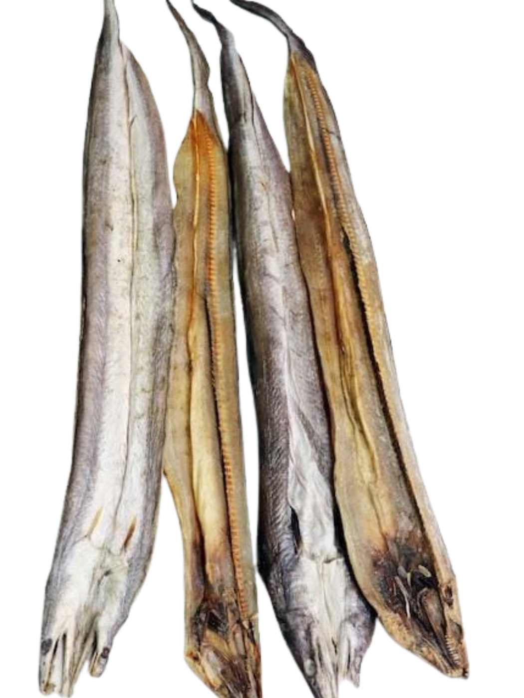 সামুদ্রিক বাইম শুঁটকি