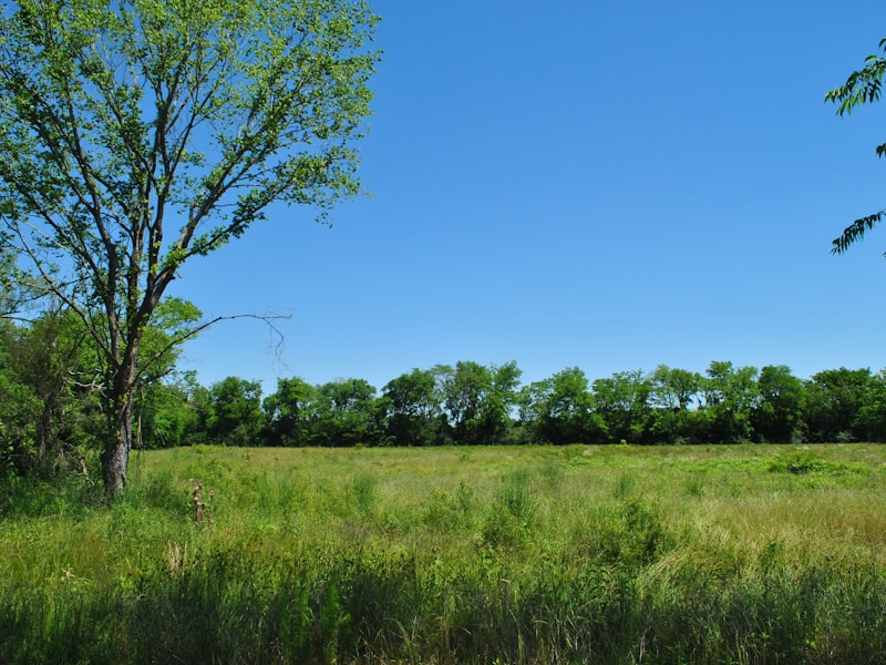 Travis County