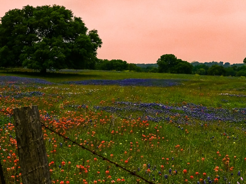 Lampasas County