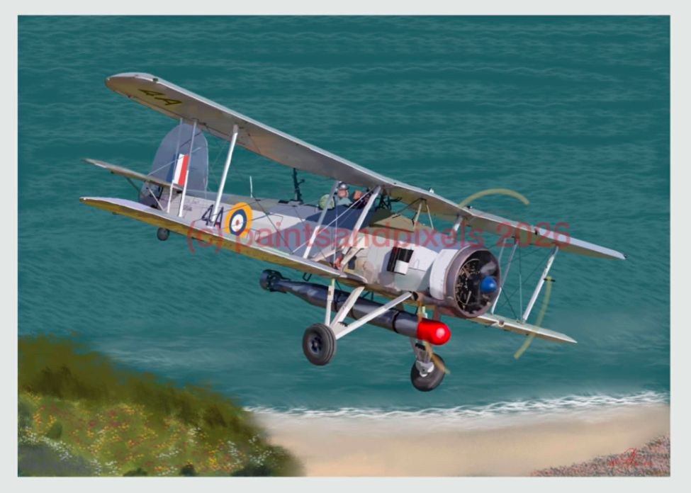 Vintage Aircraft Print