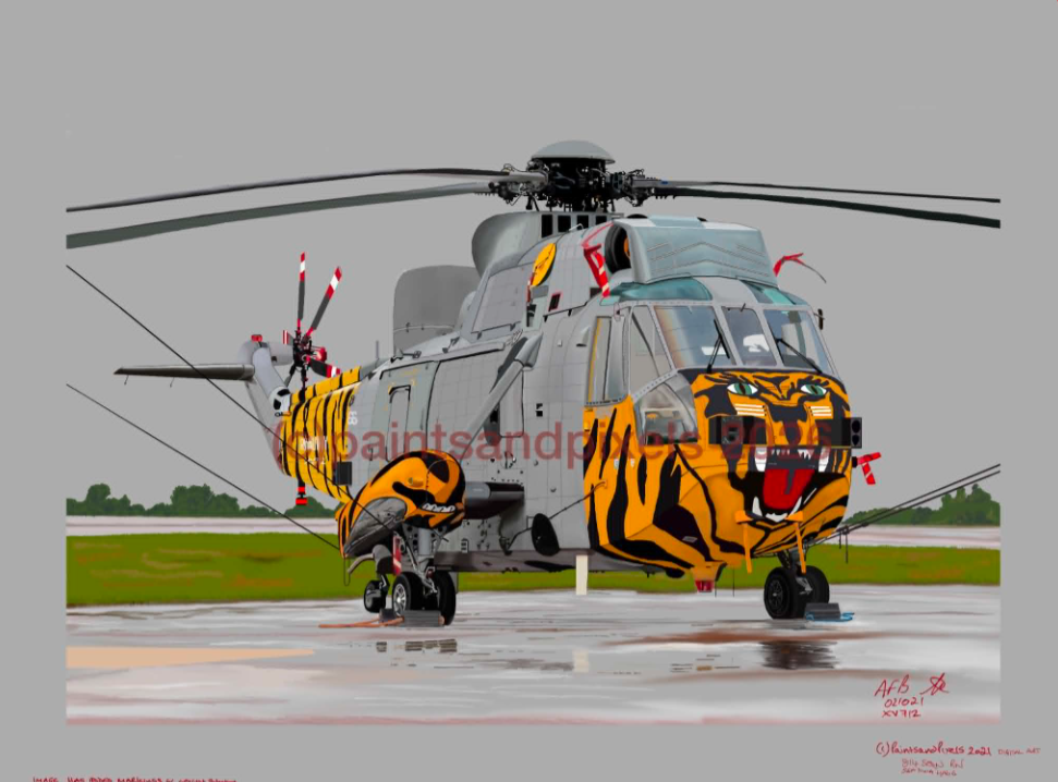 Tiger Helicopter Profile
