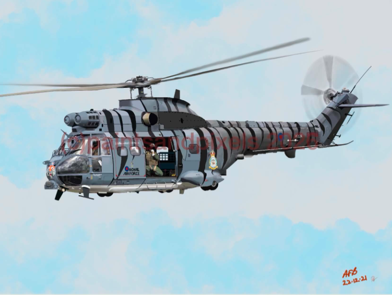 Tiger Helicopter Profile