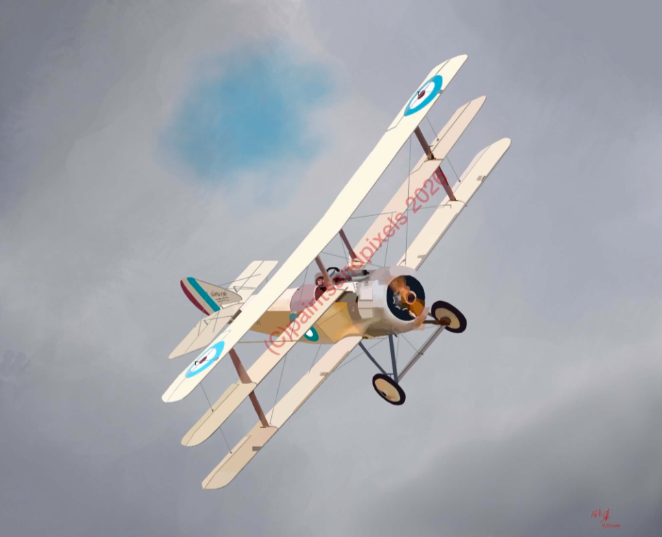 Classic Biplane Study