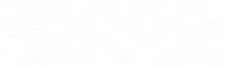 Grupo Nedemy Logo