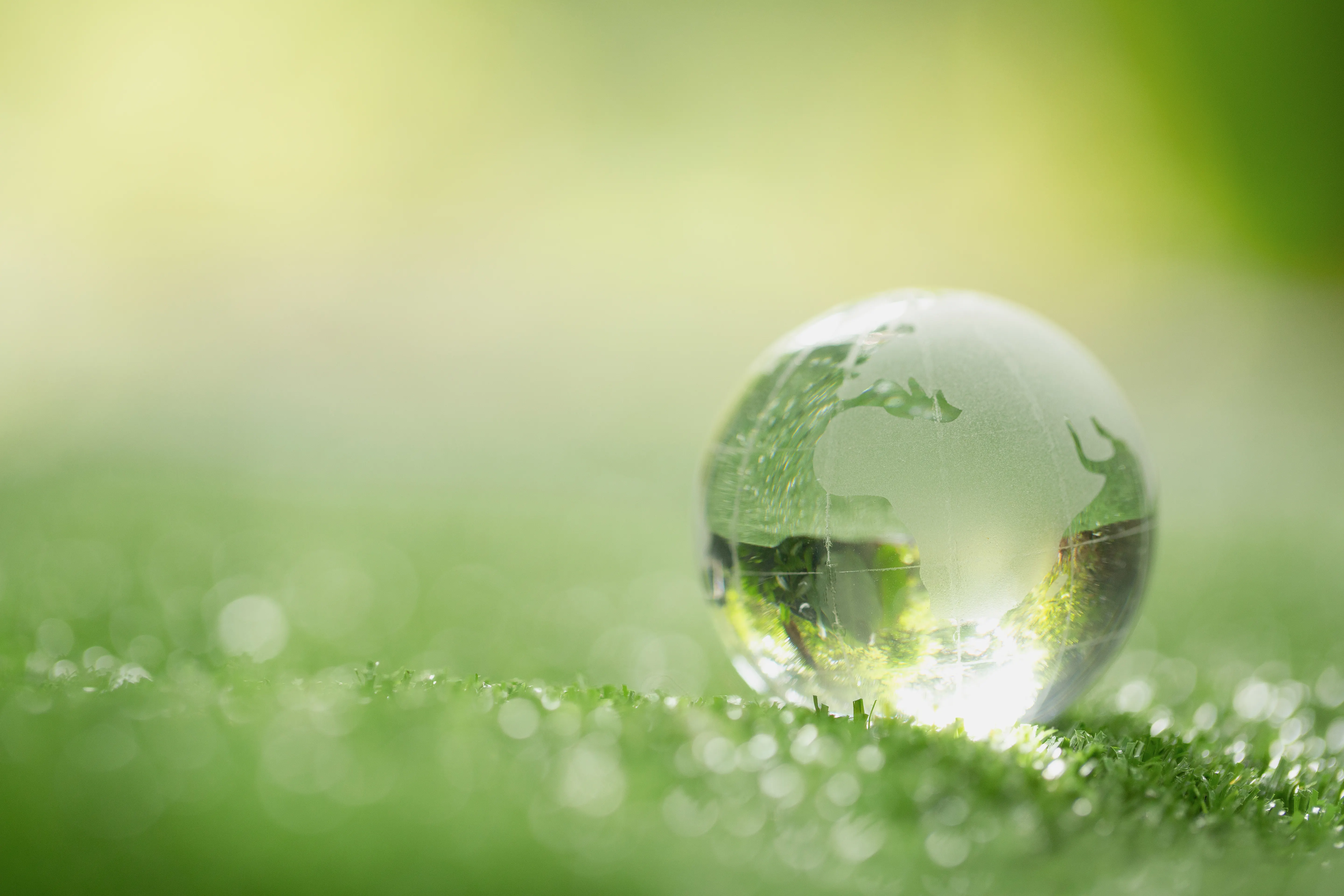 Crystal globe on grass