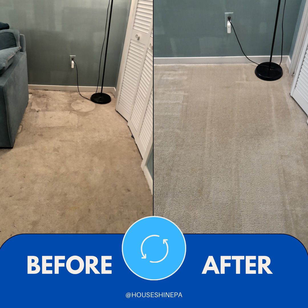 Bathroom deep cleaning and sanitization