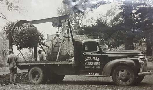 A vintage Bergman Nurseries truck delivering quality plants to the community.