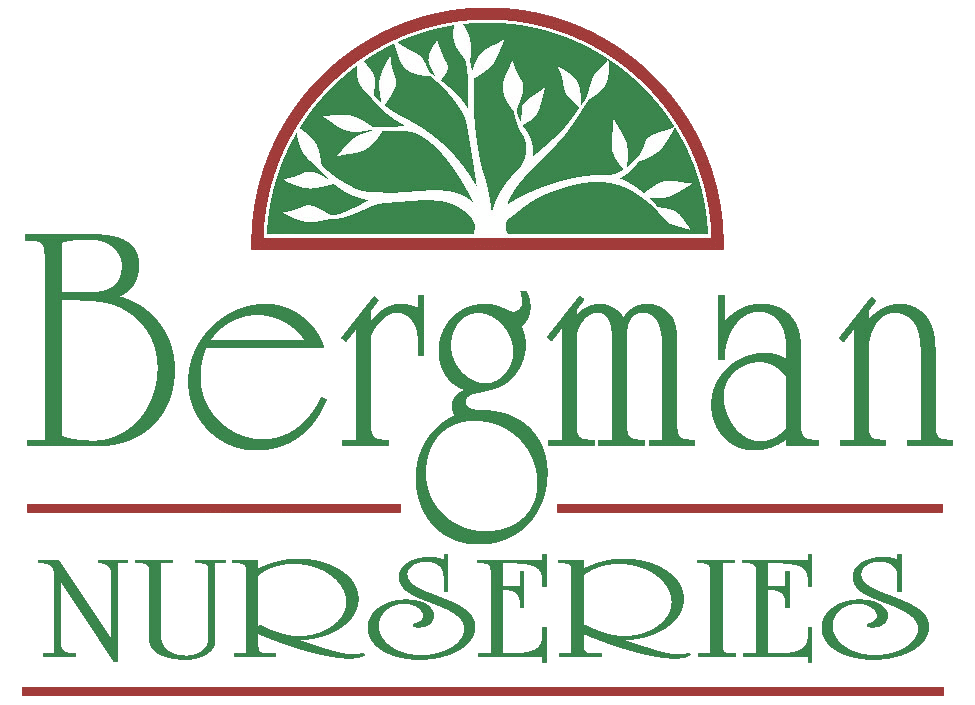 Bergman Nurseries