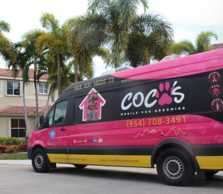 Coco's mobile dog grooming result 53