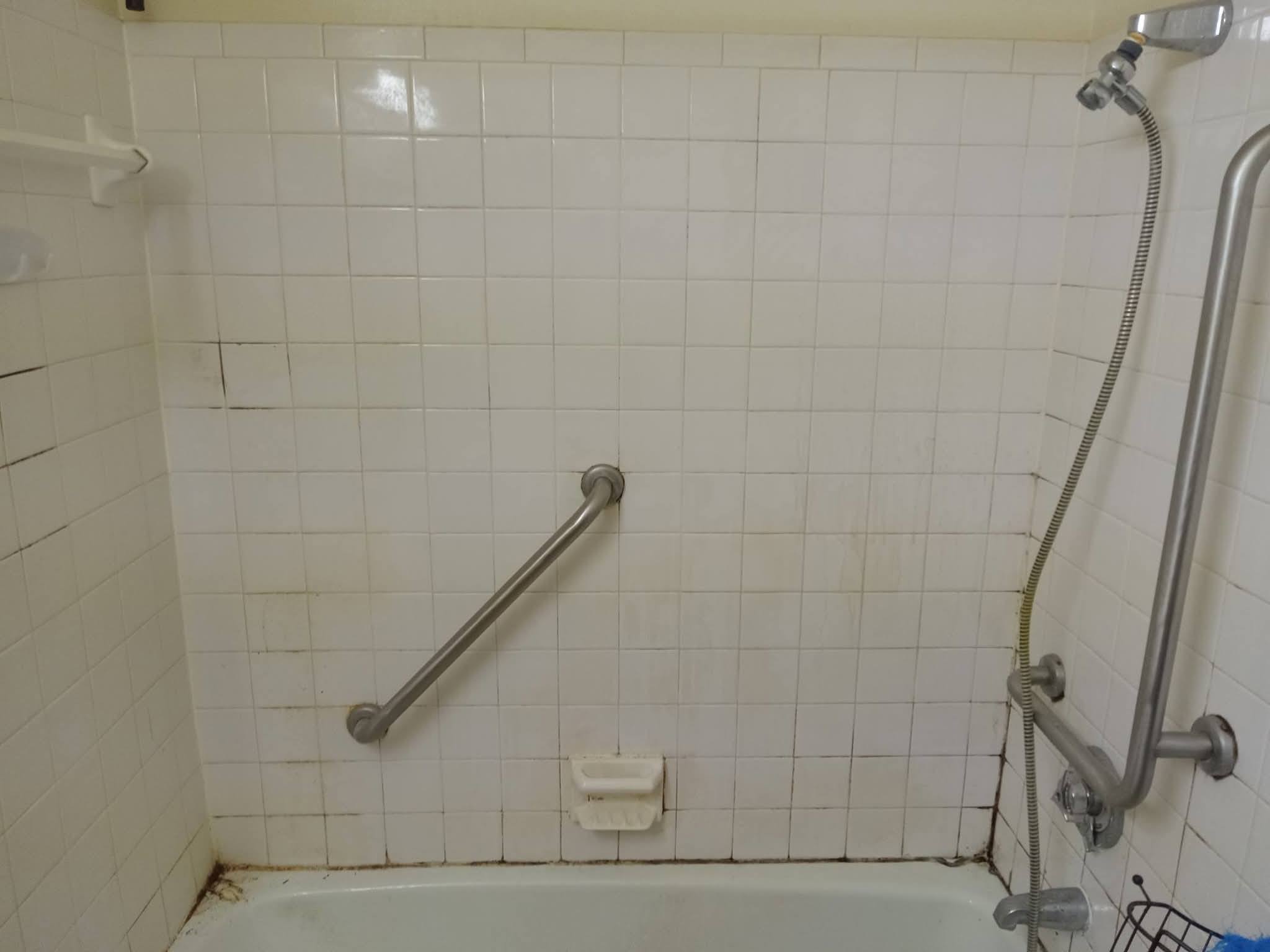 Before Bathroom Deep Clean