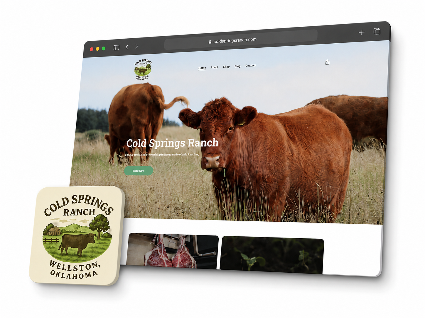 Cold Springs Ranch Website Mockup