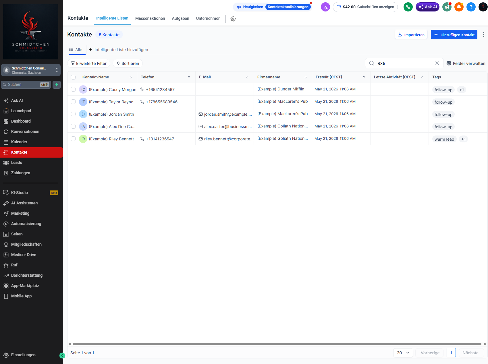 Marketing System Preview 2