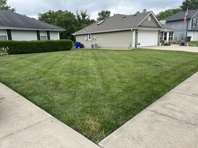 Striped Lawn