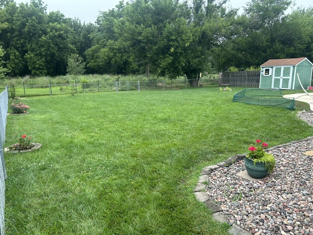 Yard and Property Cleanup