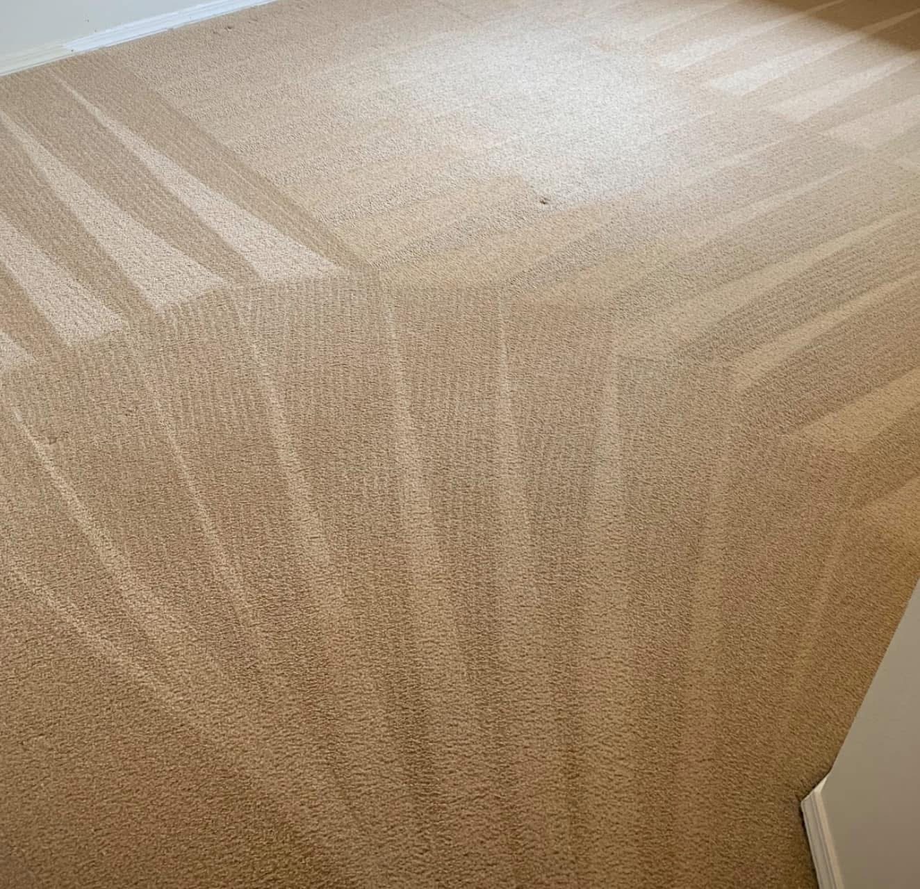 Carpet Cleaning - Brown and Sons Cleaning