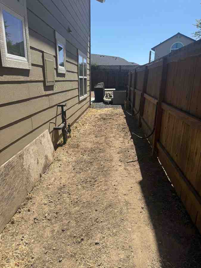 Side Yard Cleanout — before junk removal
