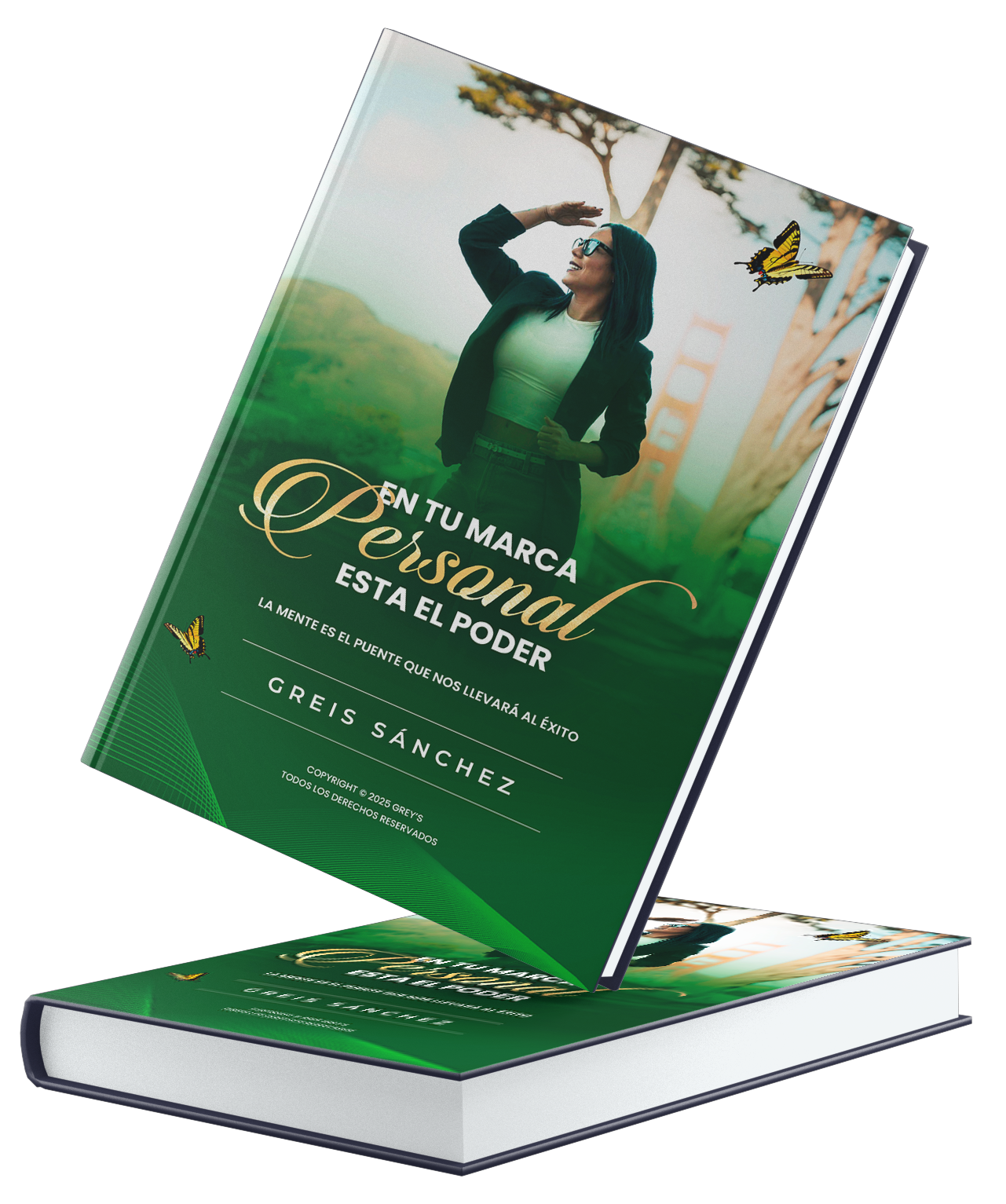 Libro publicado 3