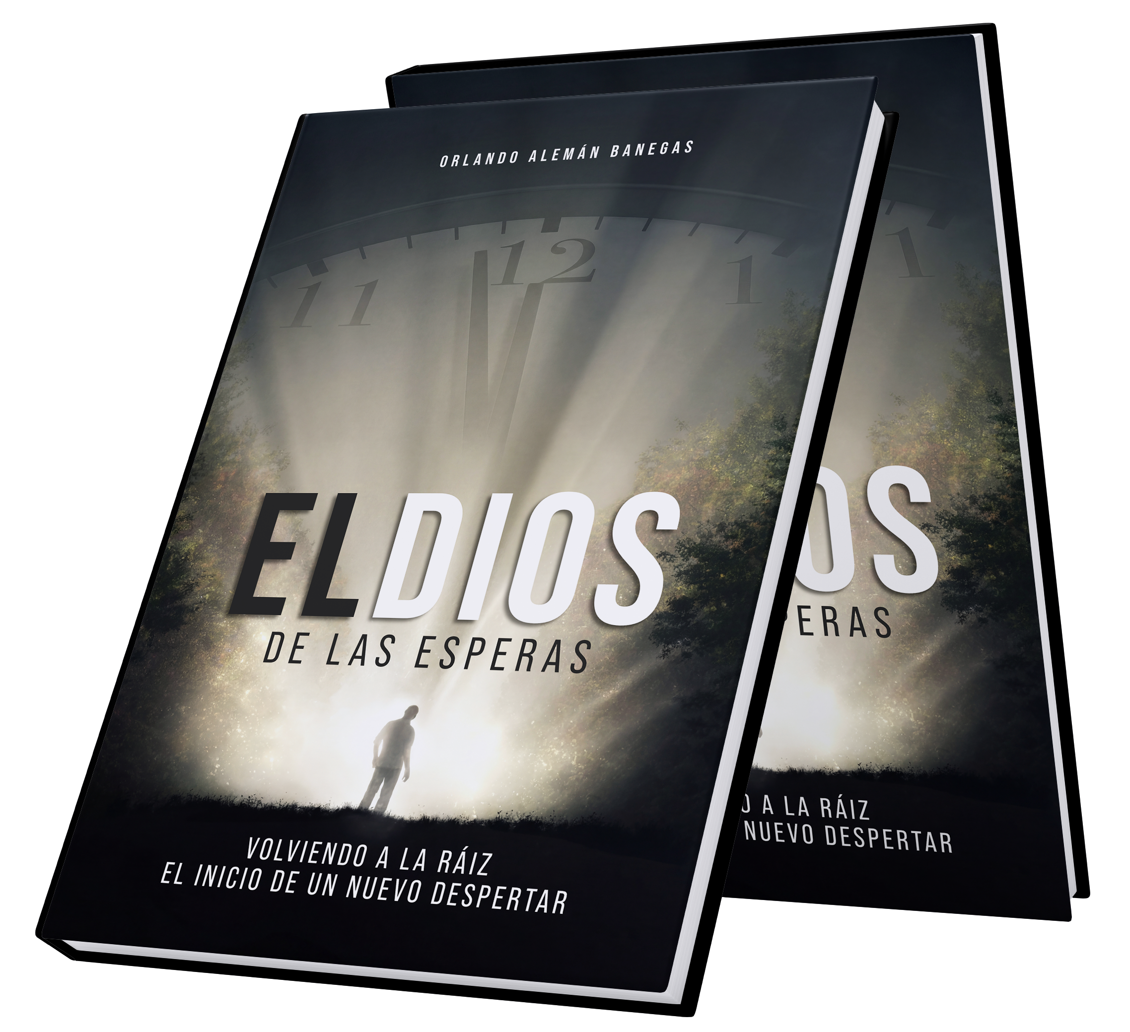 Libro publicado 4