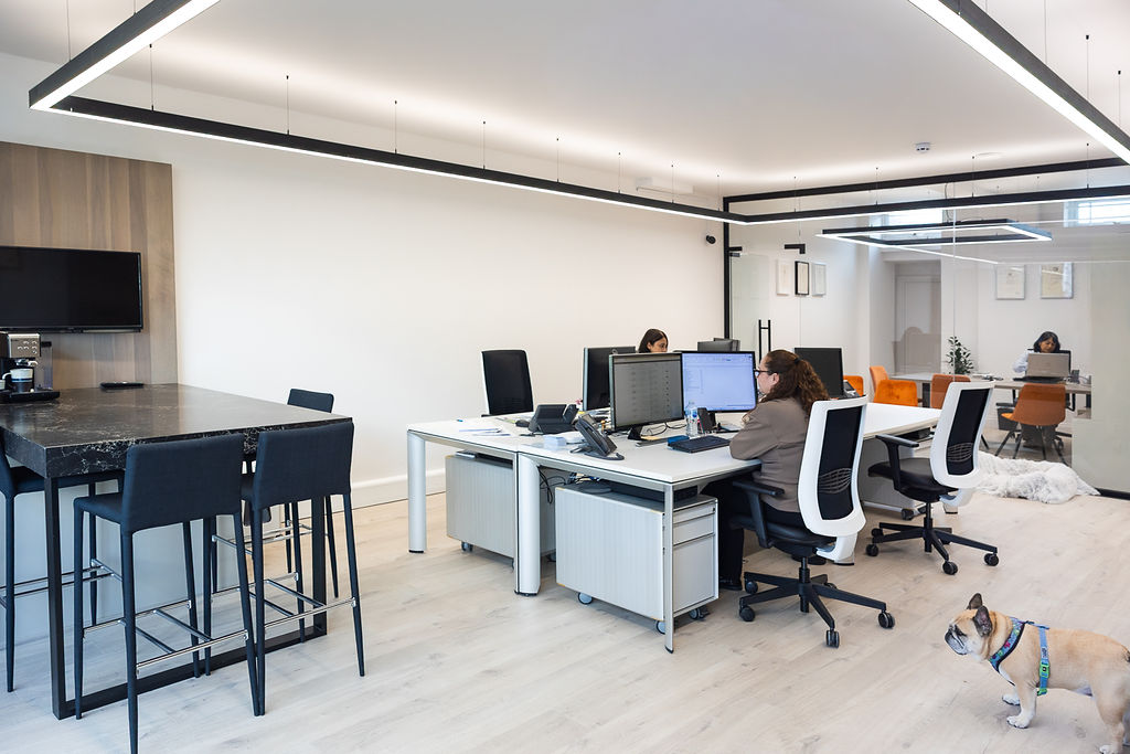 N Saha & Co. office