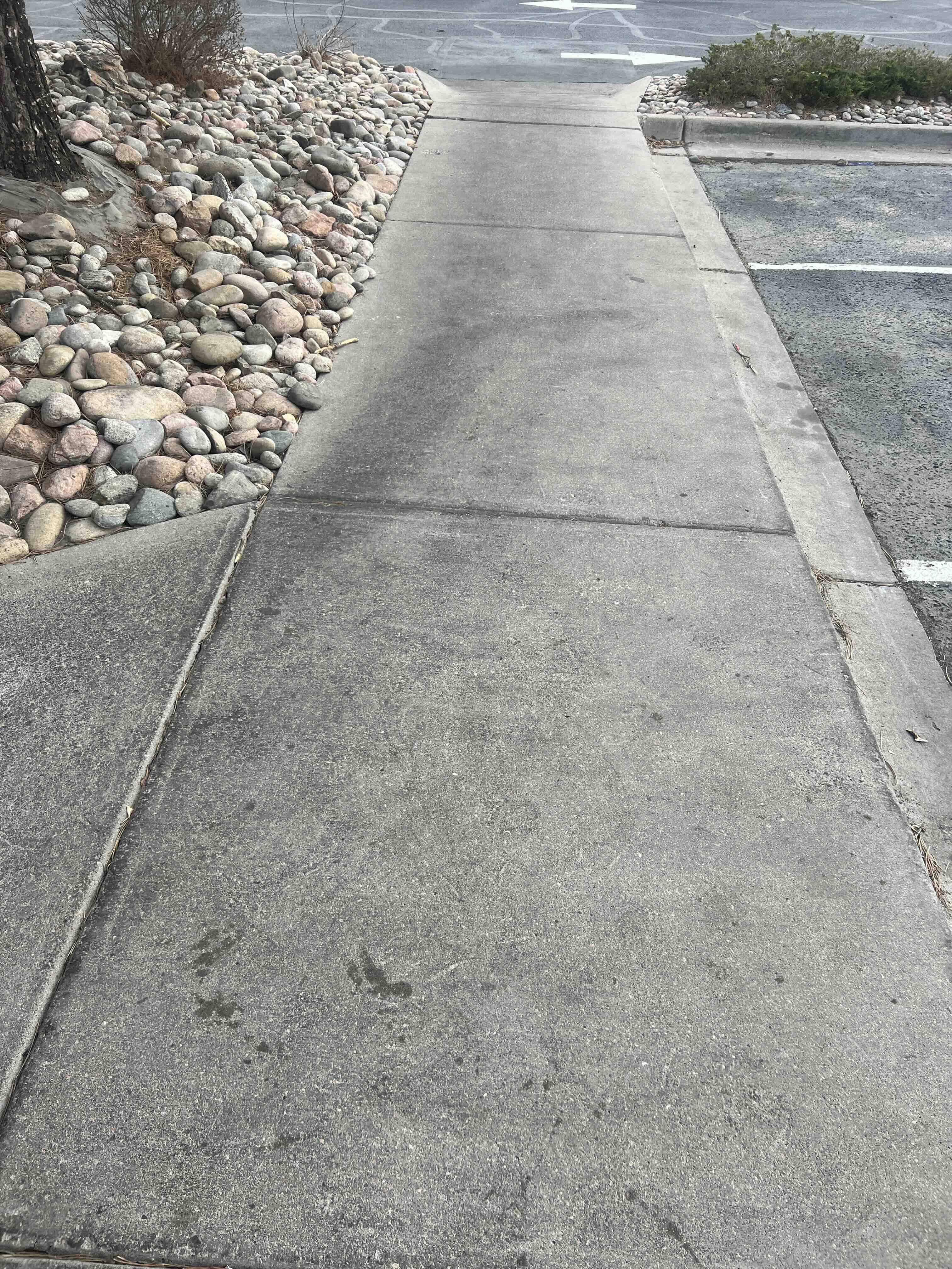 Dumpster Enclosure Cleaning - Before