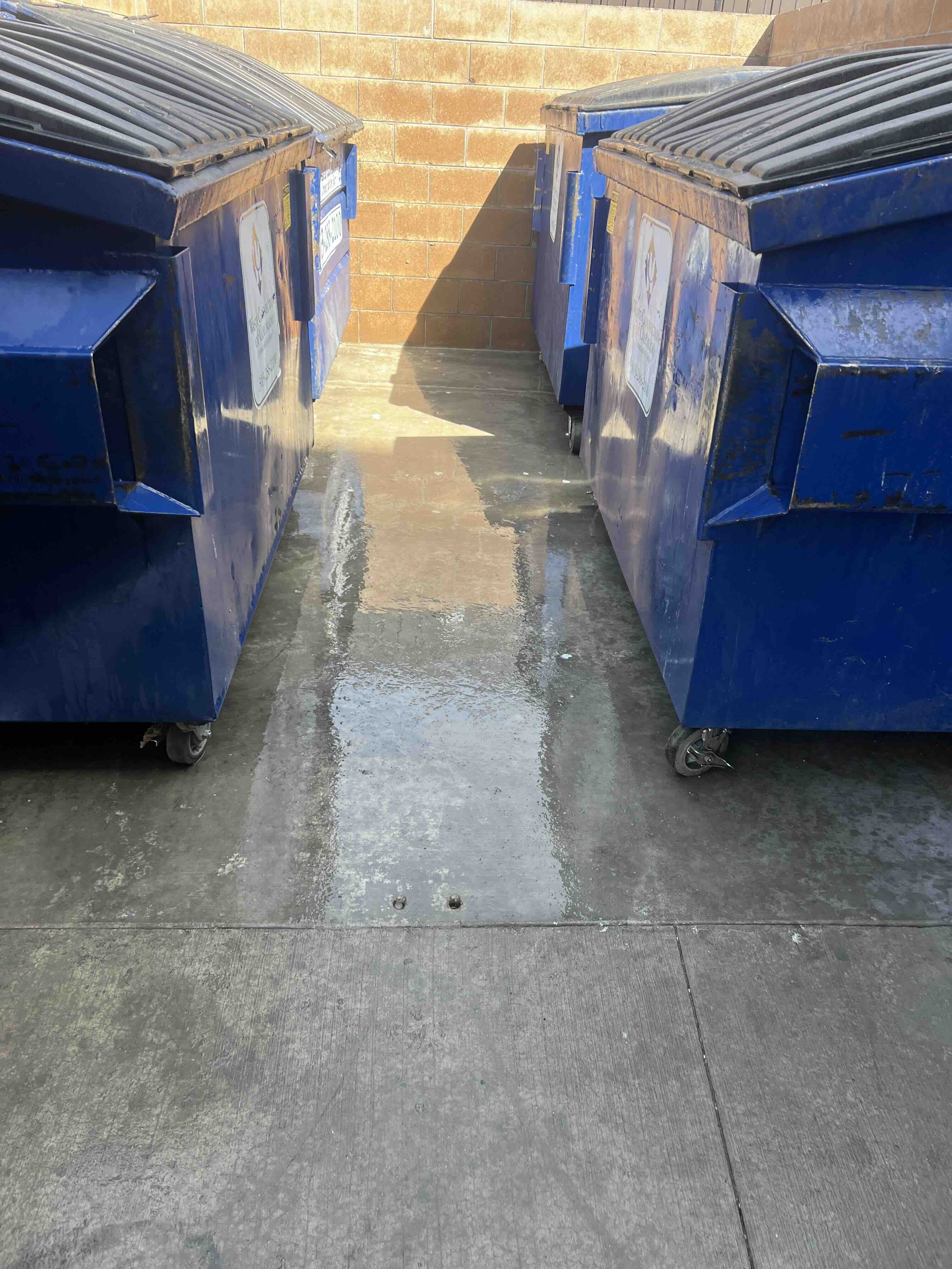 Garbage & Recycling Bin Cleaning - After