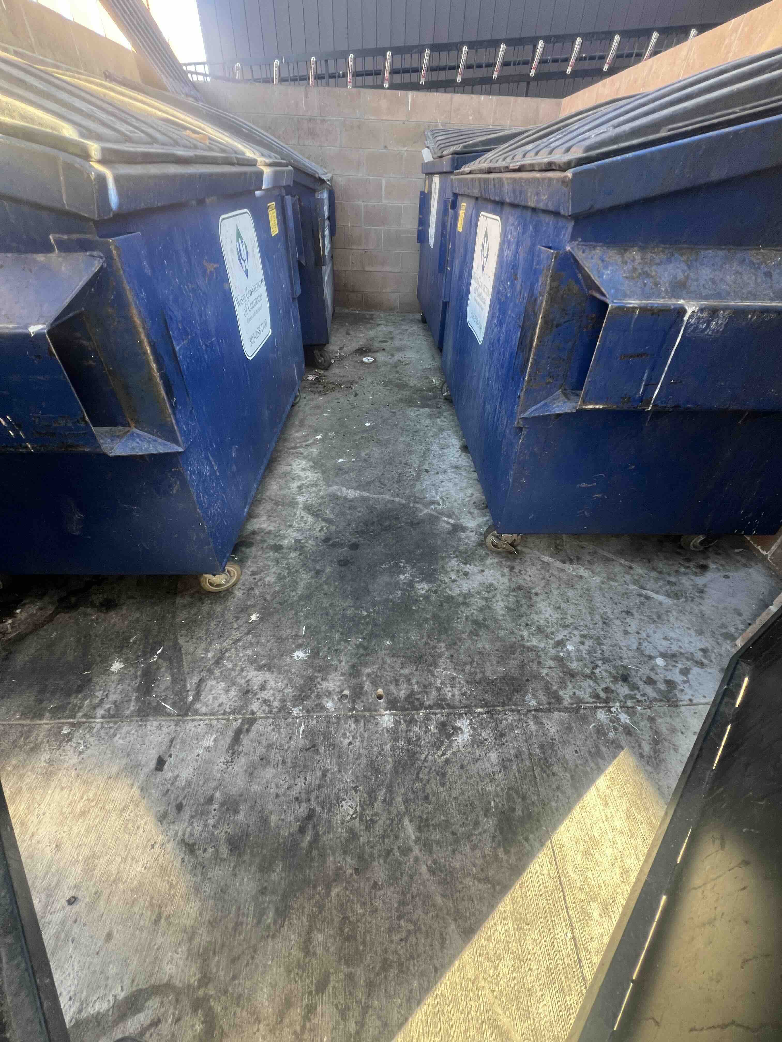 Garbage & Recycling Bin Cleaning - Before