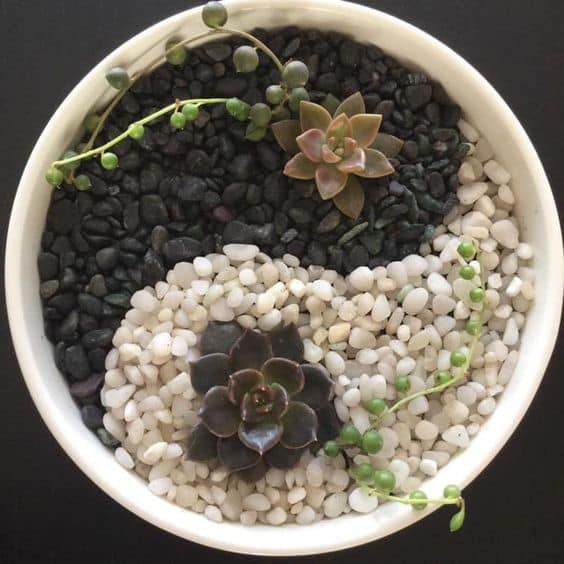 Yin-Yang Stone Planter