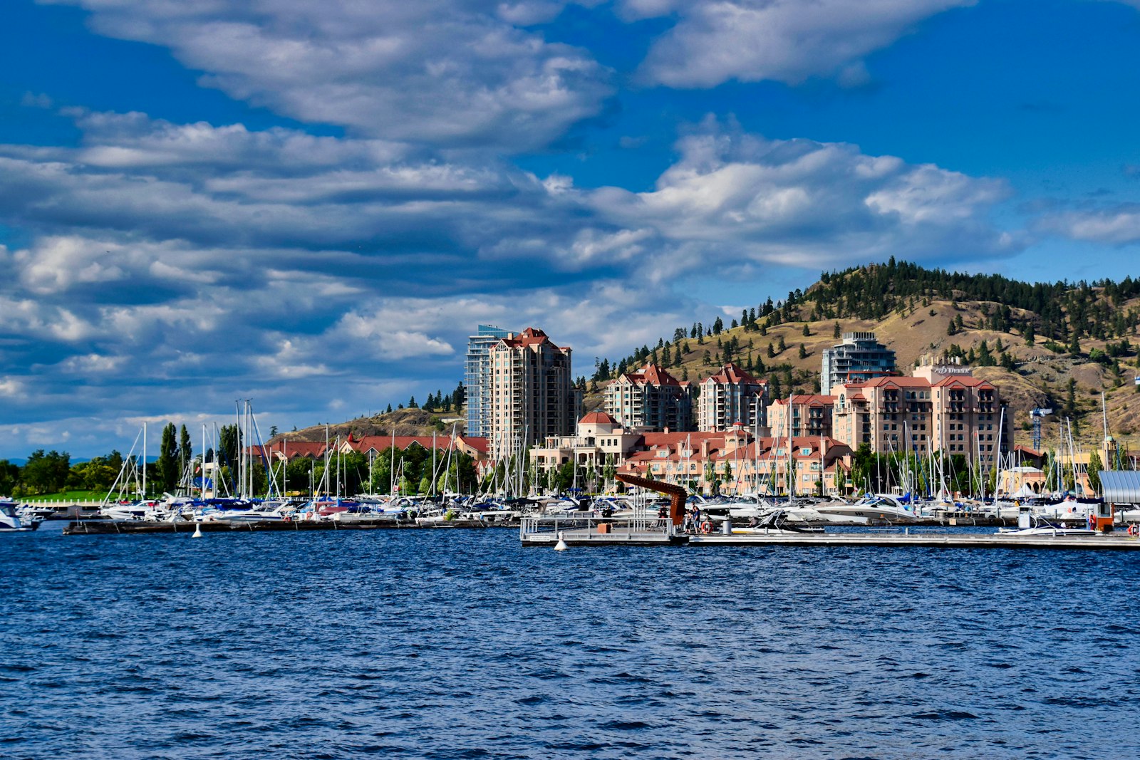 A Homepage Checklist for Kelowna Businesses