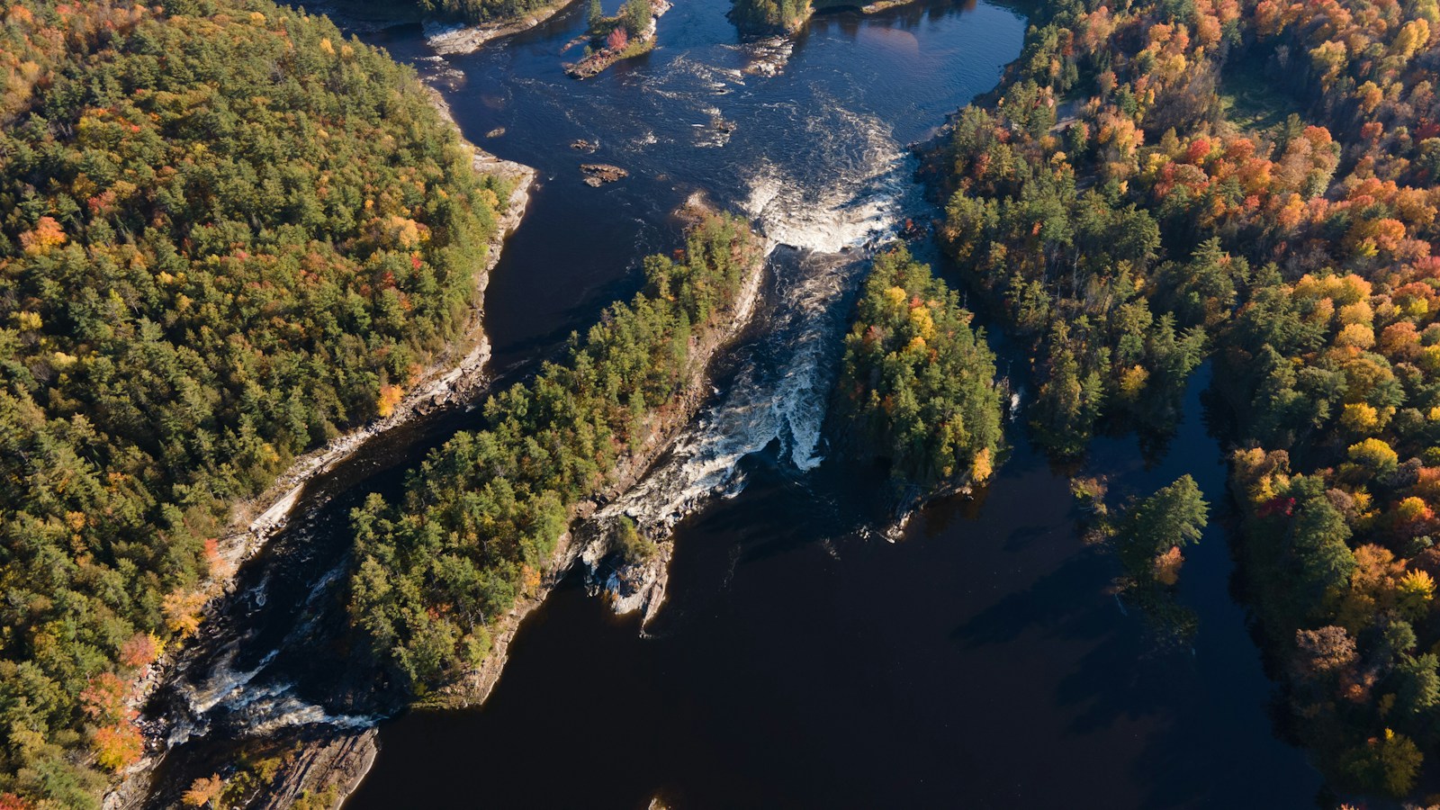 River winding through trees and rocks