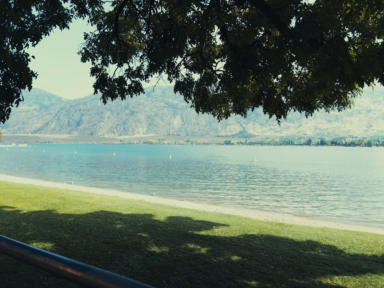 Google Business Profile for Osoyoos Seasonal Businesses
