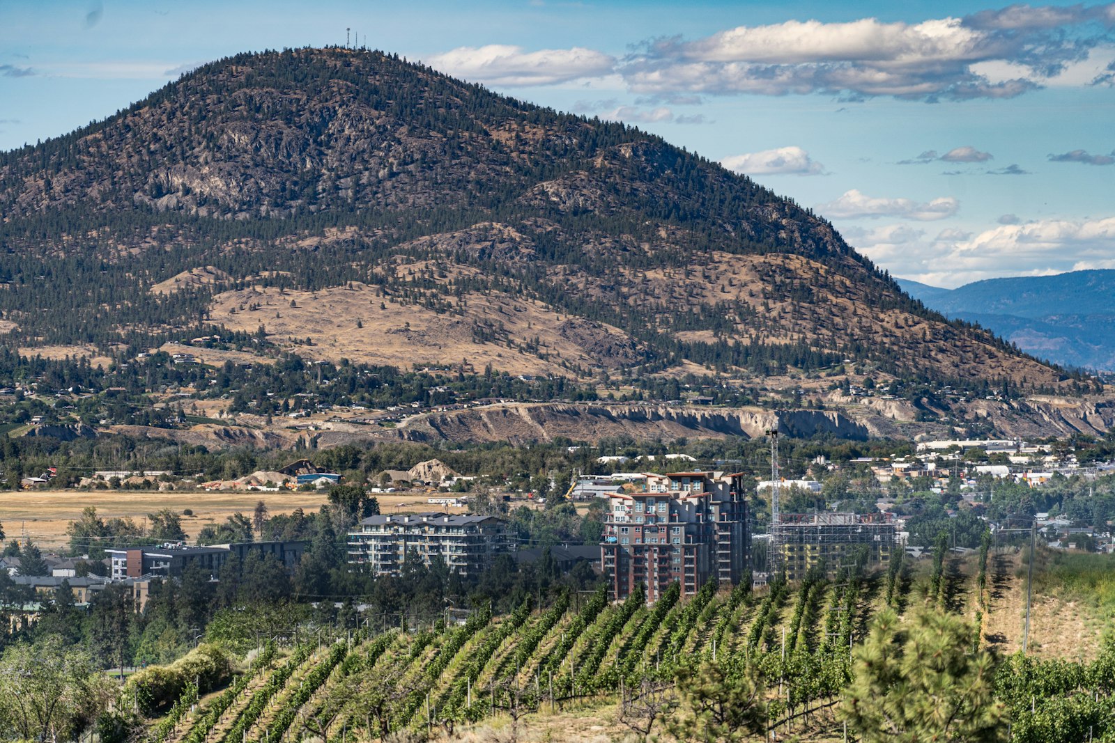 Oliver SEO for Wineries, Farms, and Local Services