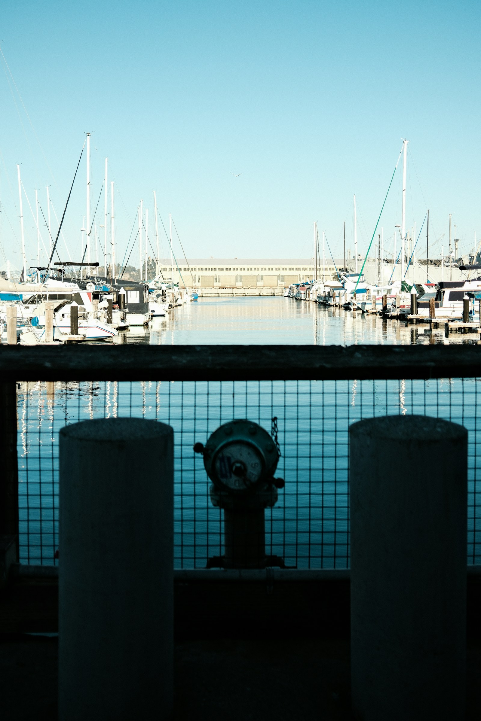 Boats moored in a sunny marina