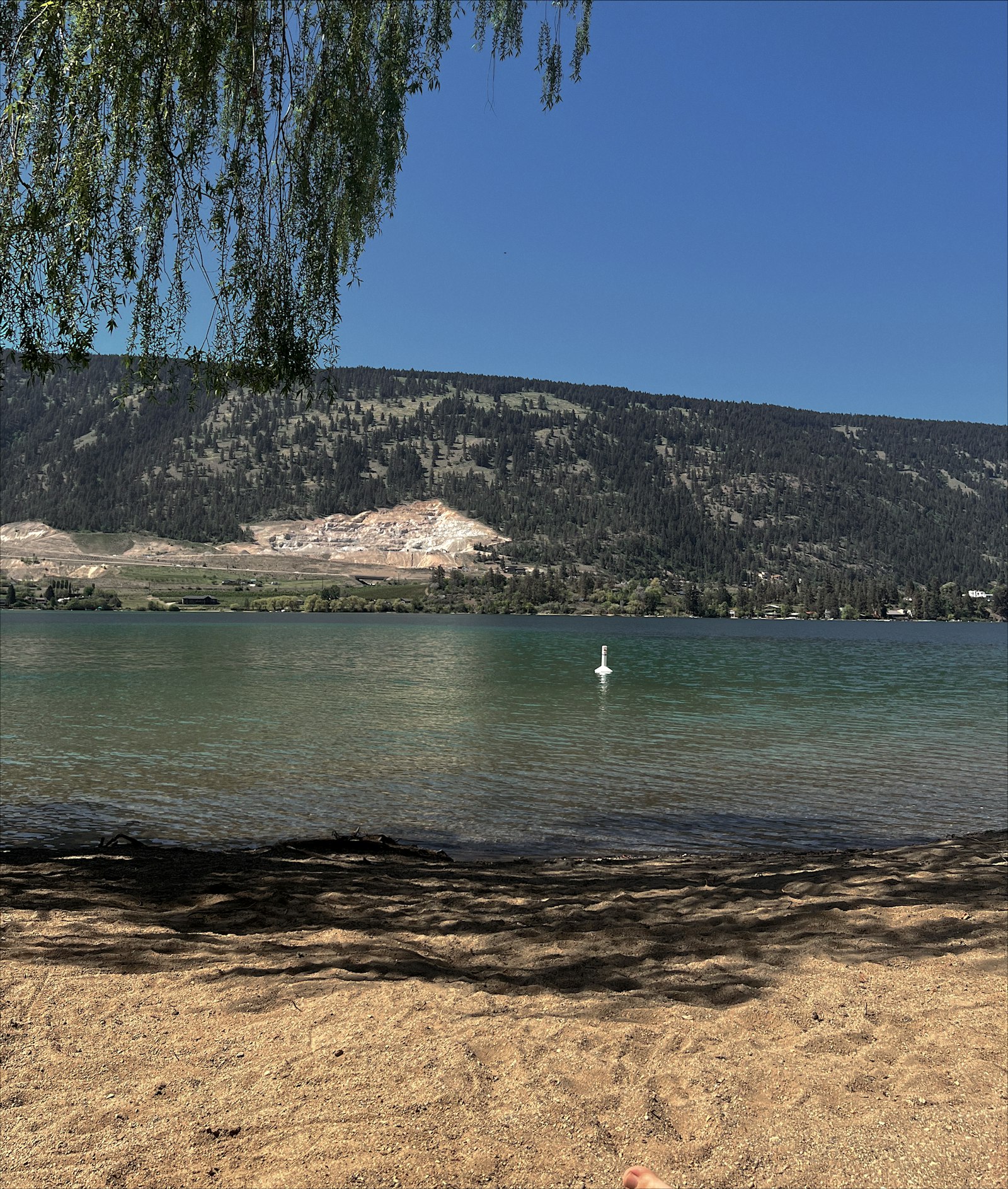 What to Post When Business Slows Down in Vernon