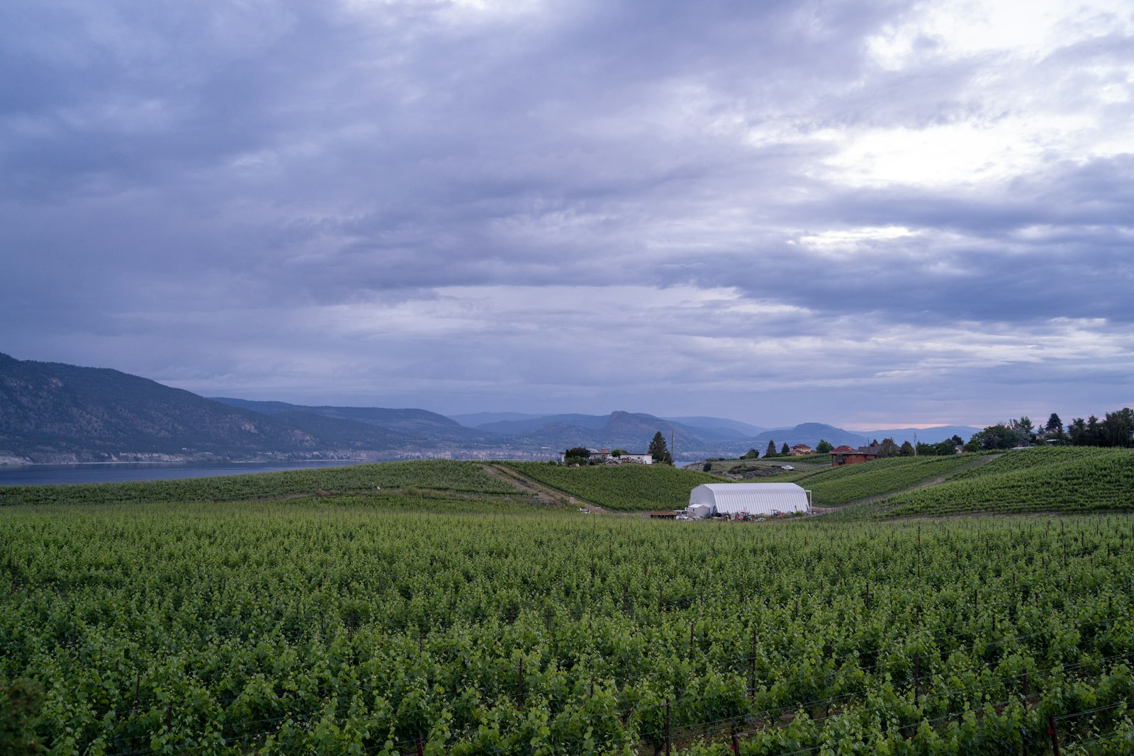 Social Proof Posts West Kelowna Businesses Can Publish