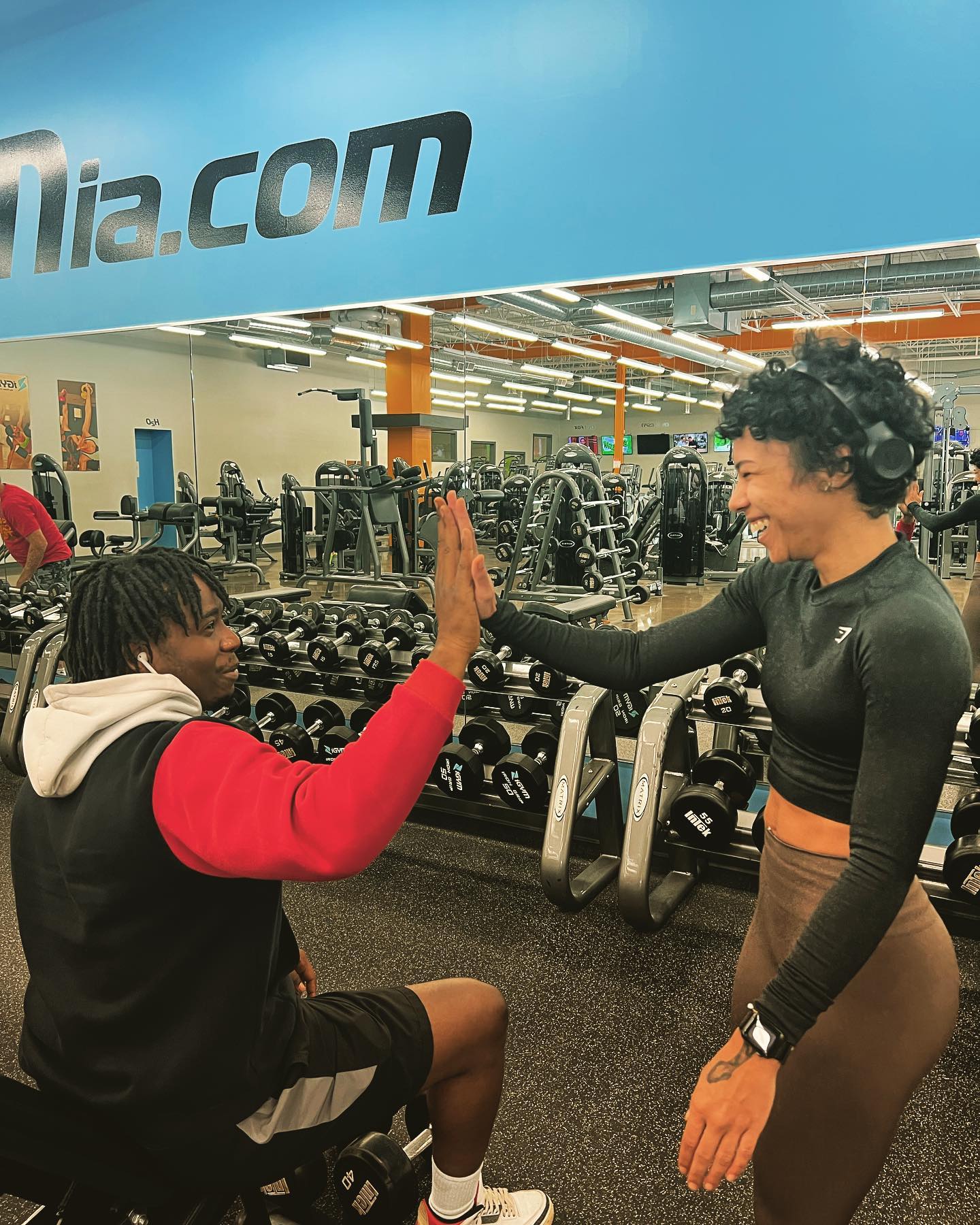 Free Weights/Circuit