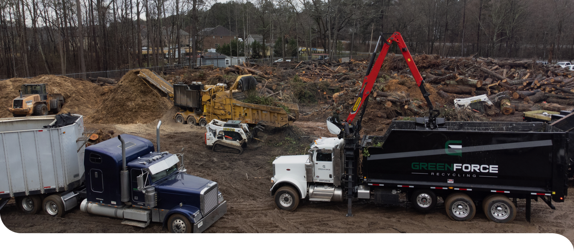 Tree Debris — GreenForce recycling process