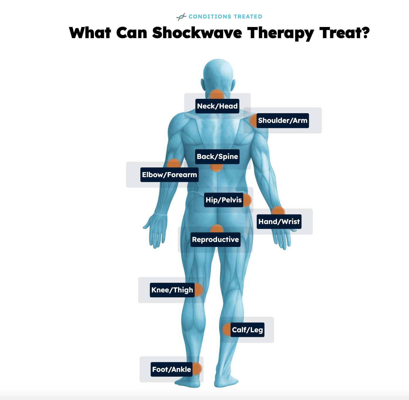 Conditions treated with Focused Shockwave Therapy including heel, knee, and shoulder pain