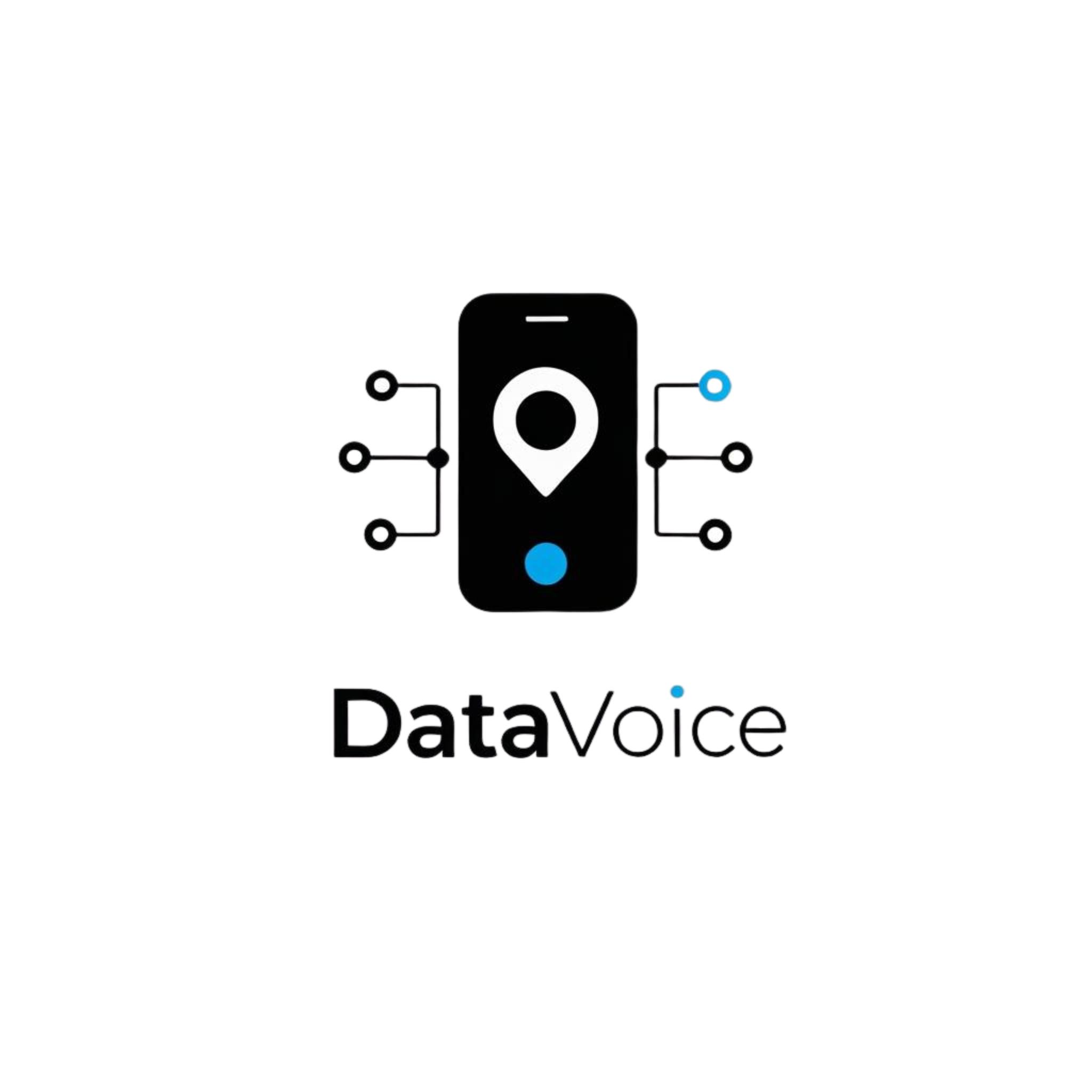 DataVoice Logo
