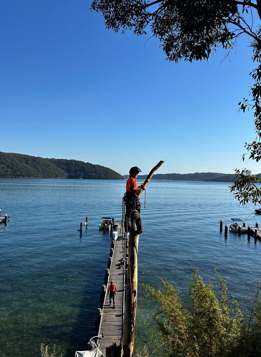 Emergency Storm Cleanup in Pittwater