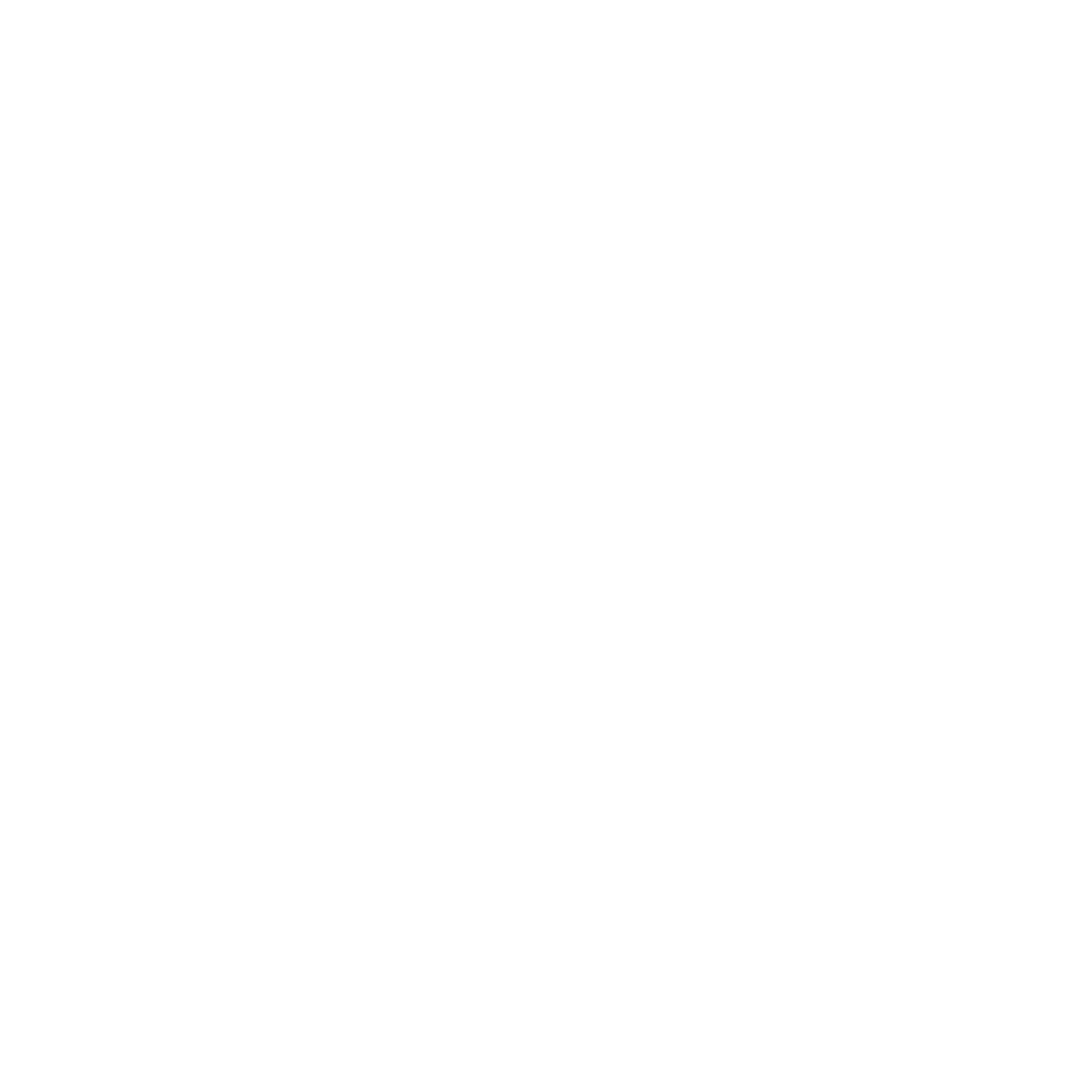 Anita Productions Logo
