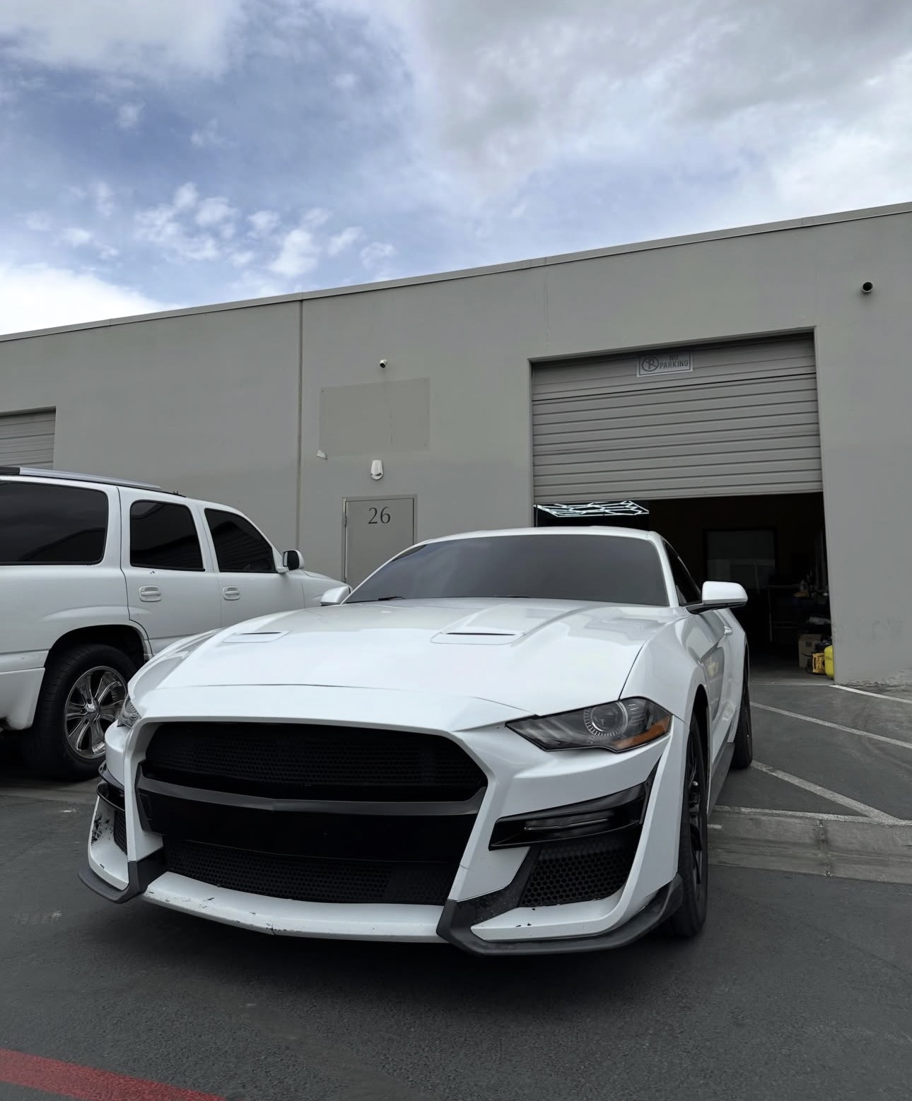 ACE TINTING