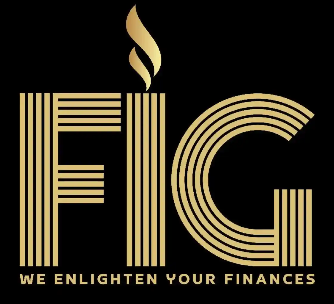Fiscal Integrity Group