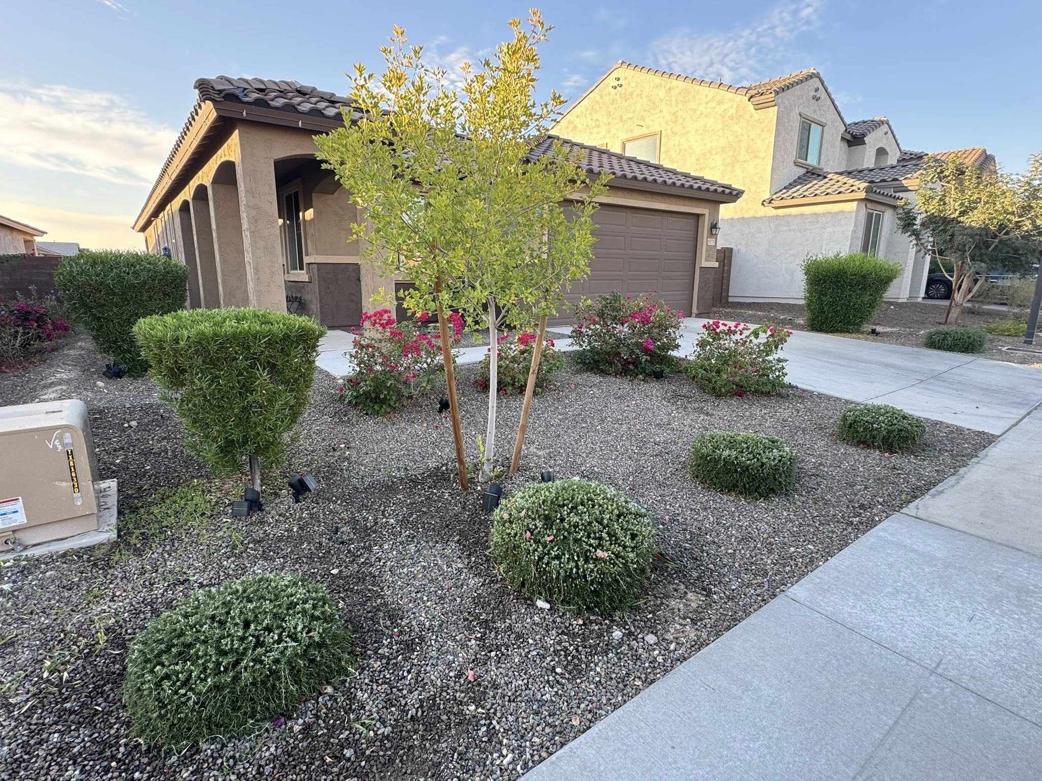 Ace Lawn Care Services — Landscaping Buckeye AZ