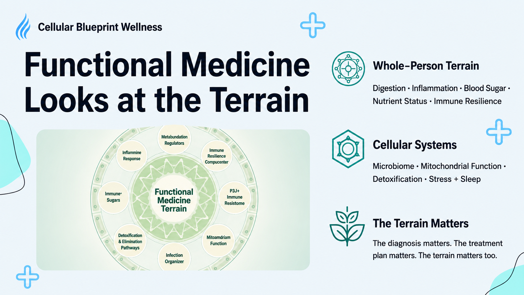 Functional Medicine Looks at the Terrain - infographic showing whole-person terrain, cellular systems, and why terrain matters